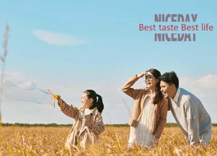 Seasoning-ALLIED MERIT INDUSTRIAL LIMITED