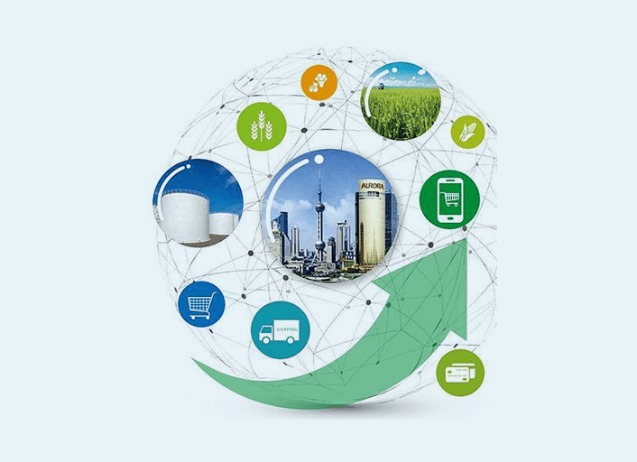 Establishing control standards  and procedures