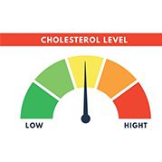 Cholesterol Management Soy Dietary Fiber
