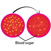 Blood Sugar Regulation Soy Dietary Fiber