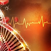 Cardiovascular Health