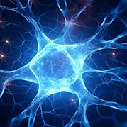 Cognitive Enhancement