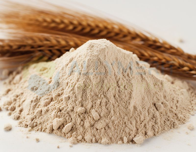 Vital Wheat Gluten Powder
