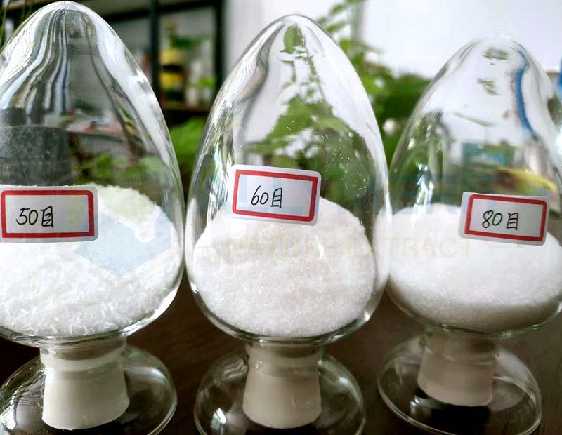 Food Additive Monosodium Glutamate
