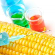 Taste Enhancement MSG