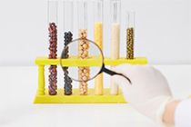 The raw material factory inspection