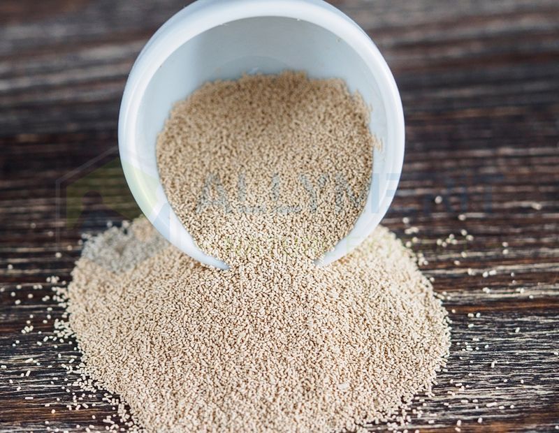 Natural Yeast Powder