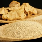 Natural Yeast Powder