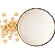 Powdered Soy Lecithin