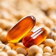 Nutritional Powdered Soy Lecithin