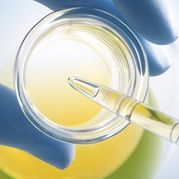 Polysorbate 80 Stabilizer